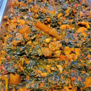 EFO RIRO(1)